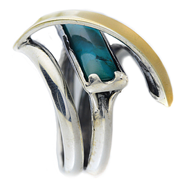 Zoro's Ring