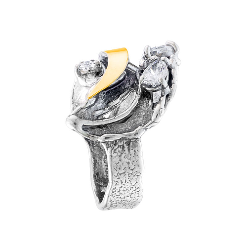 SIlver and Gold Ring
