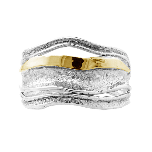 Silver and Gold Ring (copy)