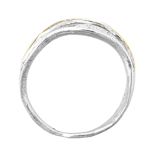 Silver and Gold Ring (copy)