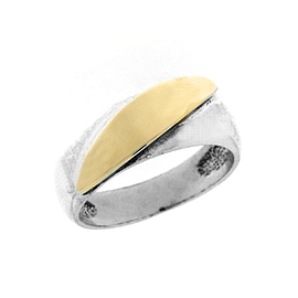 Silver and Gold Ring