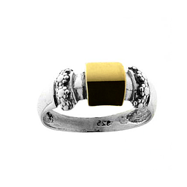 Silver and Gold Ring