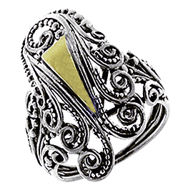 Silver and Gold Ring
