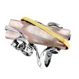 Silver and Gold Ring