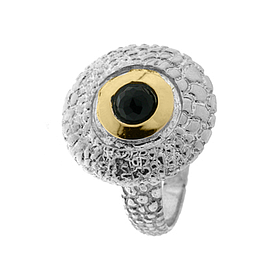 Silver and Gold Ring
