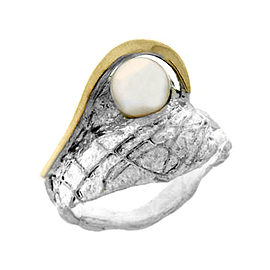 Silver and Gold Ring