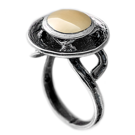 Silver and Gold Ring