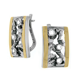 Silver and Gold Earrings