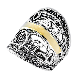 Silver and Gold Ring