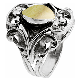 Silver and Gold Ring