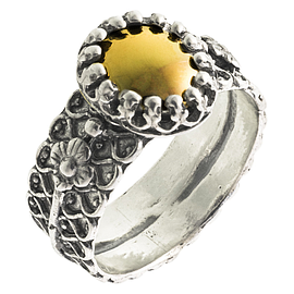 Silver and Gold Ring