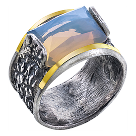 Silver and Gold Ring