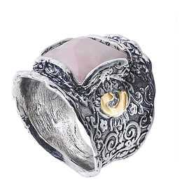 Silver and Gold Ring