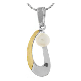 Silver and Gold Pendant