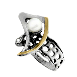 Silver and Gold Ring