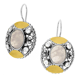 Silver and Gold Earrings