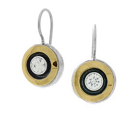 Silver and Gold Earrings