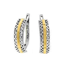 Silver and Gold Earrings