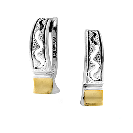 Silver and Gold Earrings