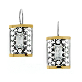 Silver and Gold Earrings