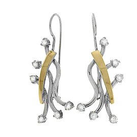 Silver and Gold Earrings