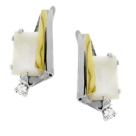 Silver and Gold Earrings