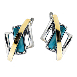 Silver and Gold Earrings