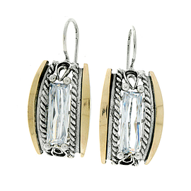 Silver and Gold Earrings