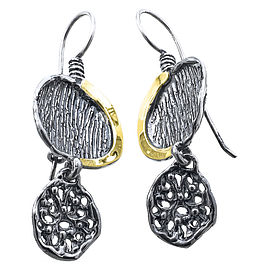 Silver and Gold Earrings