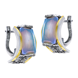 Silver and Gold Earrings