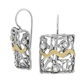 Silver and Gold Earrings