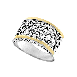 Silver and Gold Ring