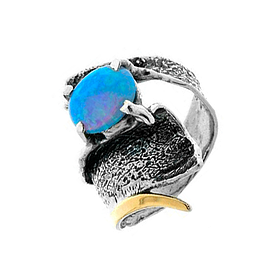 Silver and Gold Ring