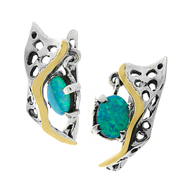 Silver and Gold Earrings