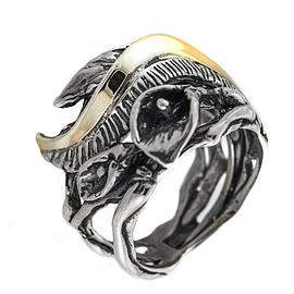 Silver and Gold Ring
