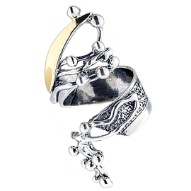 Silver and Gold Ring