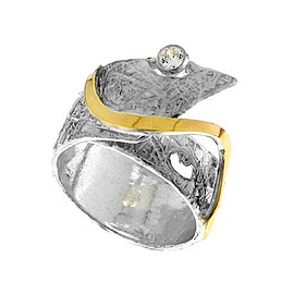 Silver and Gold Ring