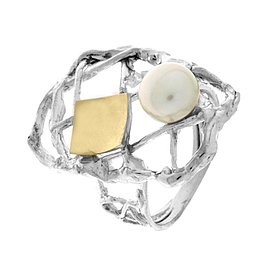 Silver and Gold Ring