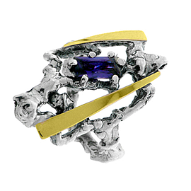 Silver and Gold Ring