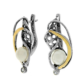 Silver and Gold Earrings