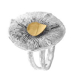 Silver and Gold Ring