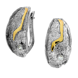 Silver and Gold Earrings