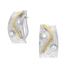 Silver and Gold Earrings