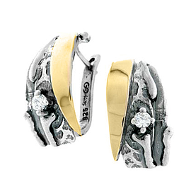 Silver and Gold Earrings