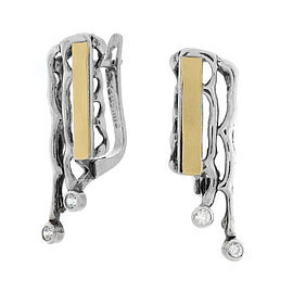 Silver and Gold Earrings