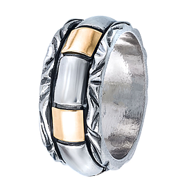 Silver and Gold Spinner Ring 