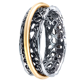 Silver and Gold Ring