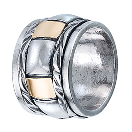 Silver and Gold Ring