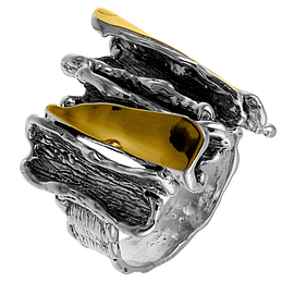 Silver and Gold Ring