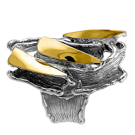 Silver and Gold Ring